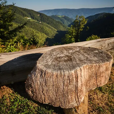 Domek alpejski Toplak *