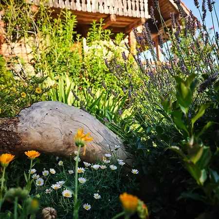 Toplak * Sveti Duh na Ostrem Vrhu