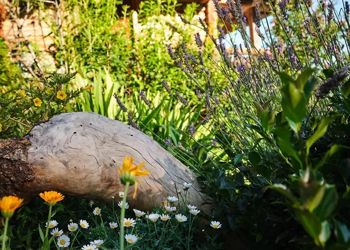 Toplak * Sveti Duh na Ostrem Vrhu